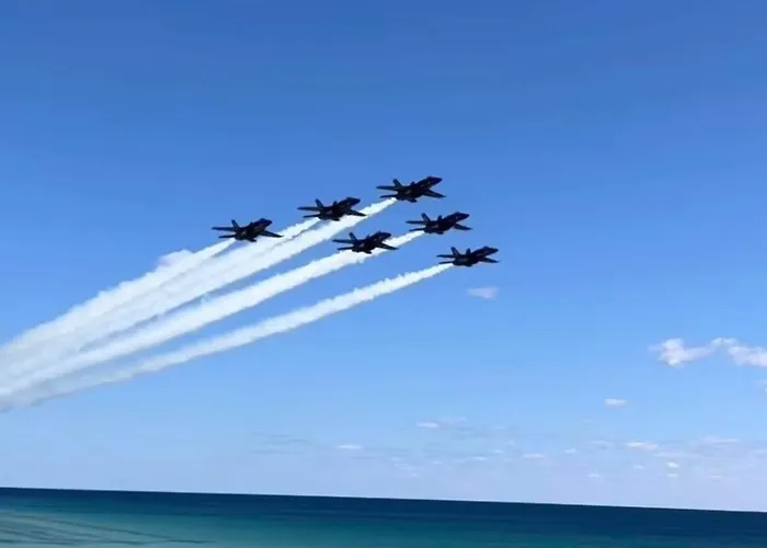 Bring Your Suit, We Have The Rest! Gulf Shores