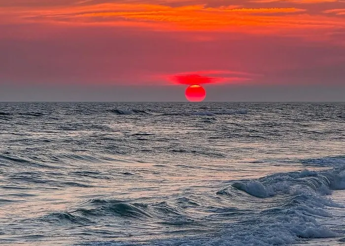 Bring Your Suit, We Have The Rest! Gulf Shores