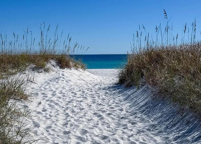 Bring Your Suit, We Have The Rest! Gulf Shores