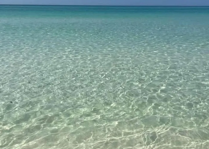 Bring Your Suit, We Have The Rest! Gulf Shores